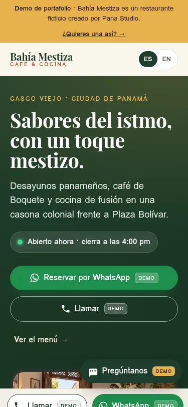 Example website made by Pana Studio, shown on a phone